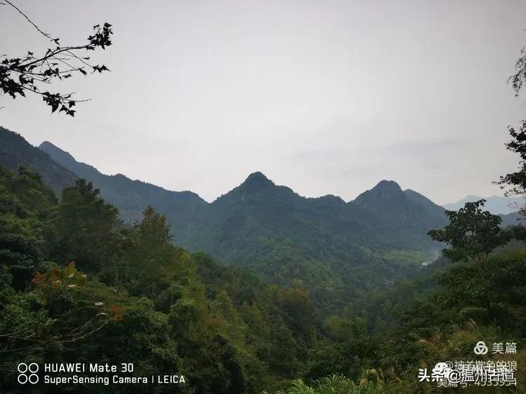 那山 那水 那树 那桥 苍南挑矾古道银湖环线穿越 你去过吗 天天看点