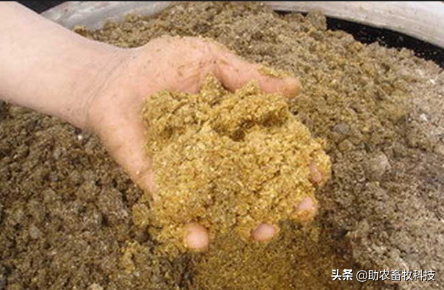 豆渣等糟渣低成本发酵技术，不用添加玉米发酵速度更快营养更高