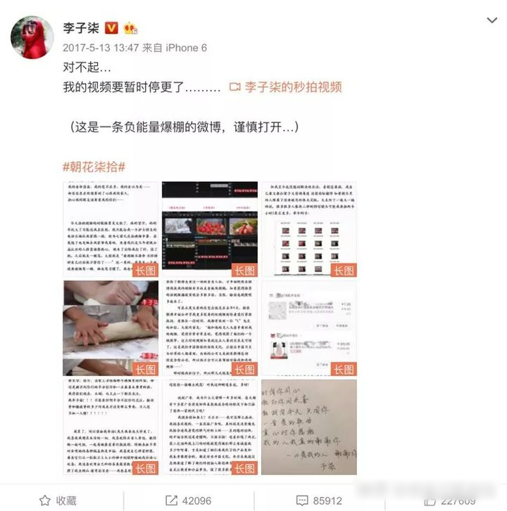 网红李子柒（李佳佳背景资料）怎么停止更新视频,资本手段背后有什么秘密?