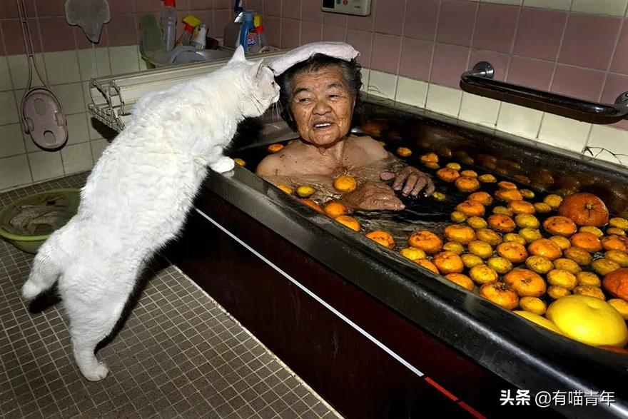 谢谢，福丸！再见，福丸