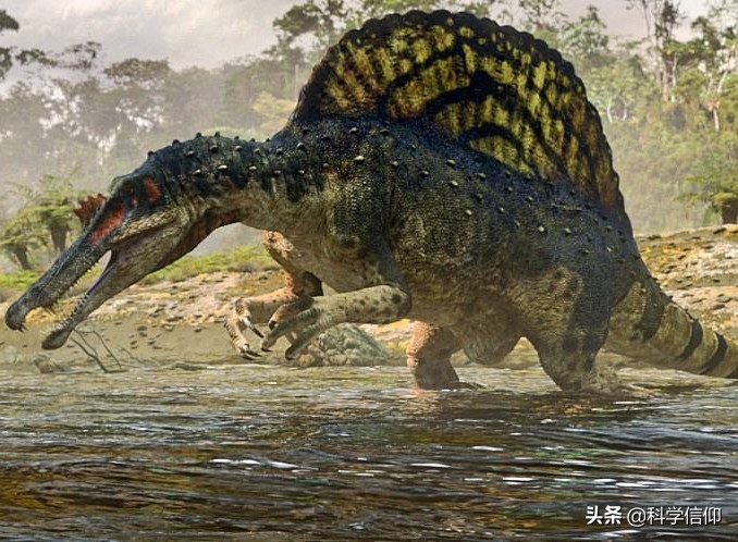 棘背龙图片（图文讲解最大型陆生肉食恐龙）