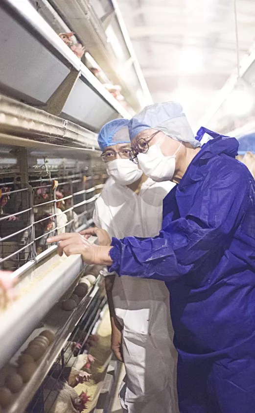 占据中高端市场领导地位，黄天鹅用一颗可生食鸡蛋撬动3000亿市场