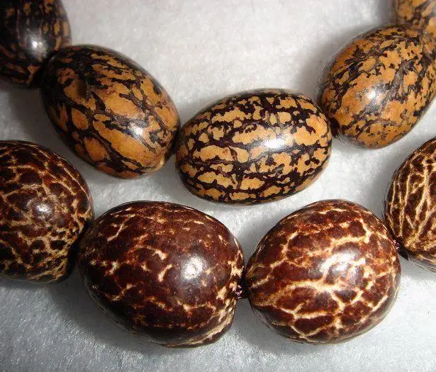 菩提子种类全详解（配图不易）