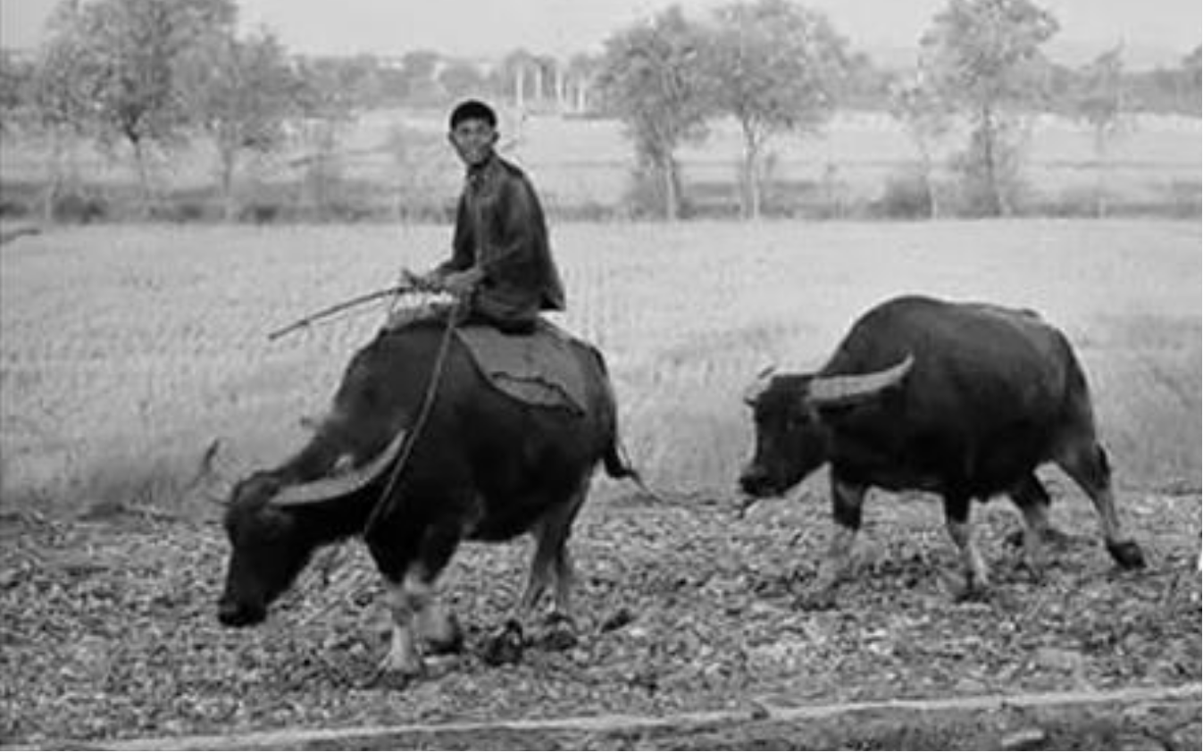 1982年，重庆邬家坡发现一无名遗骸，开国少将段苏权：这是我战友