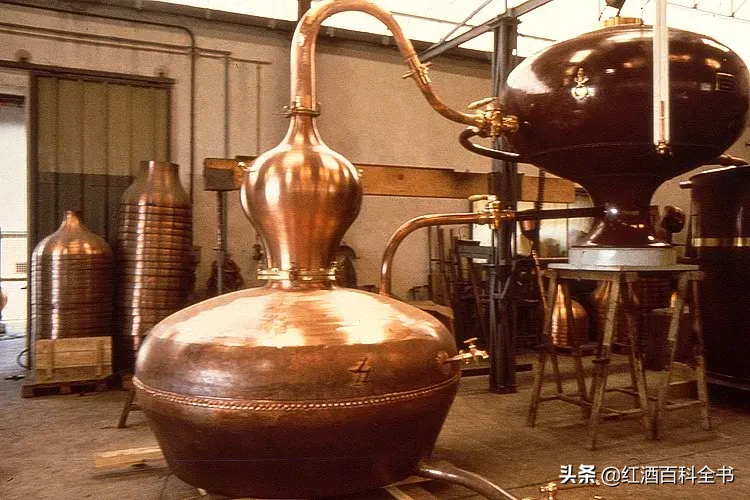 「速成指南」关于干邑，你需要知道的都在这里