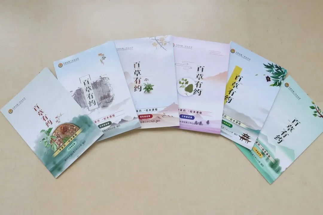 点赞！丰泽这所学校深耕细作，让中医药文化在校园中扎根绽放