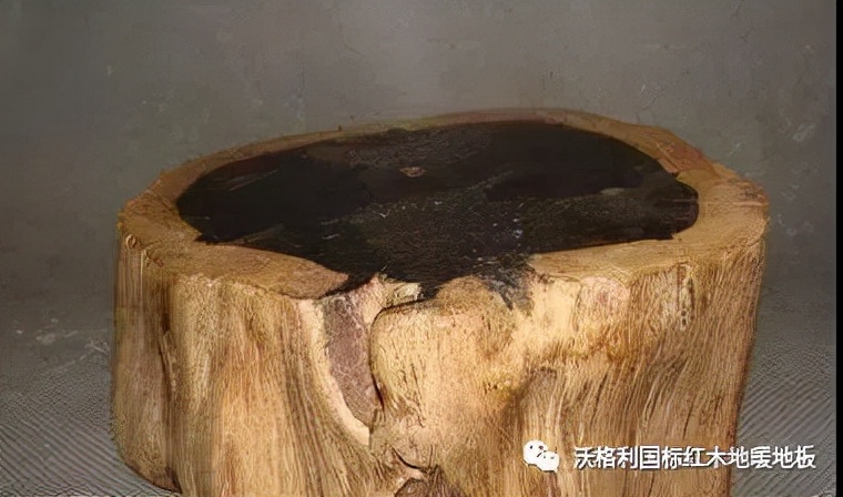 沃格利国标红木大宅地暖地板木材百科全书（三）世界上最硬的木头