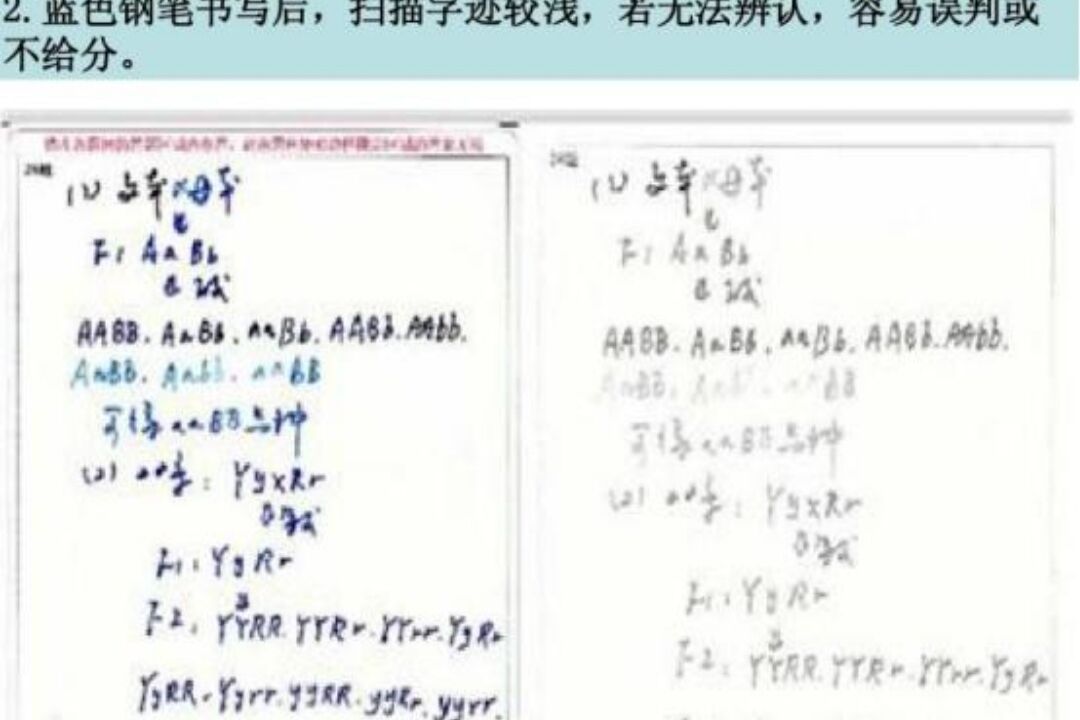 你在試卷上寫的字，對比電腦閱卷中看到的字，差距真的很明顯