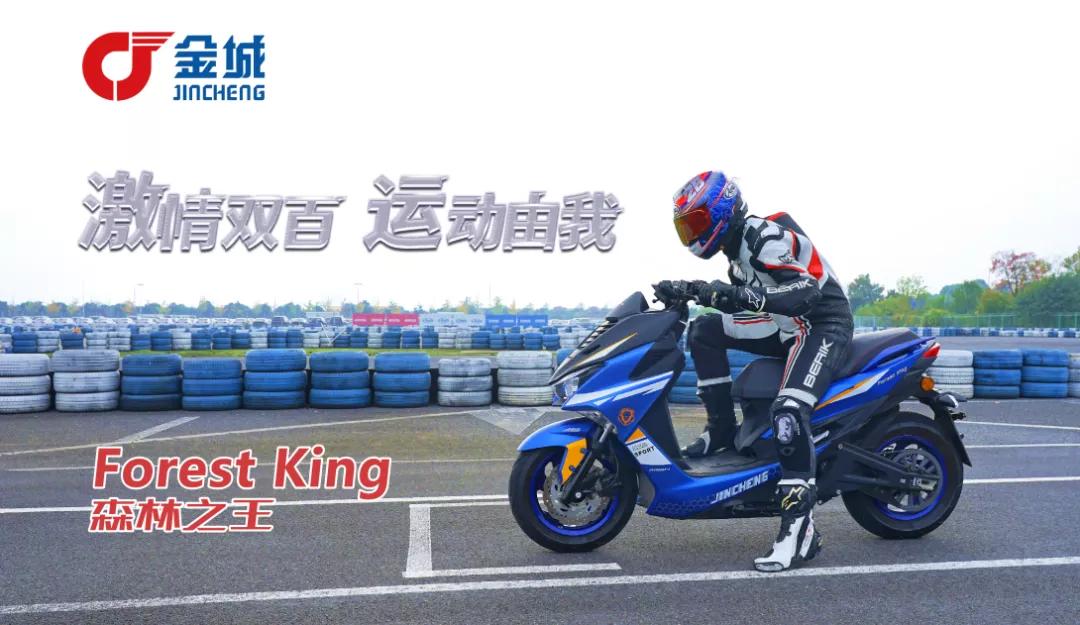 中置电机进口皮带ABS19980元金城电摩森林之王静态测评