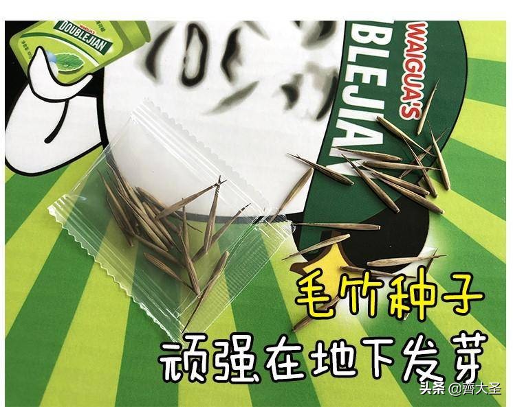 创意沙雕礼物（沙雕圣诞礼物）