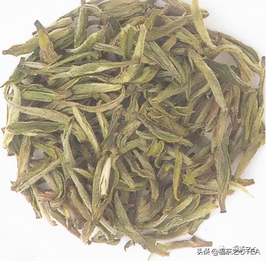 茶百科 | 中國茶葉分類大綱（收藏版）