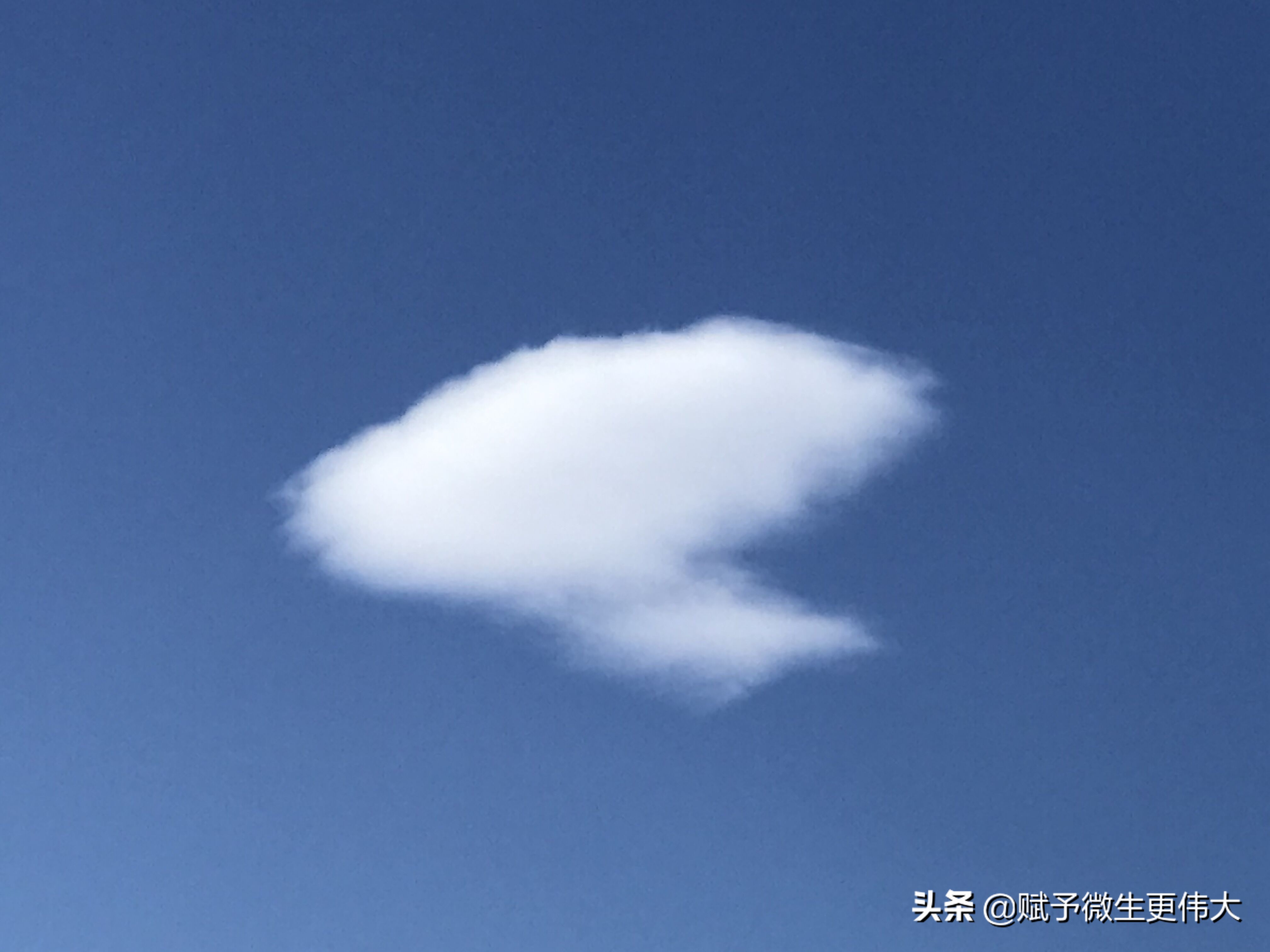 仙翁——大行腐植酸关怀人类新产业之道