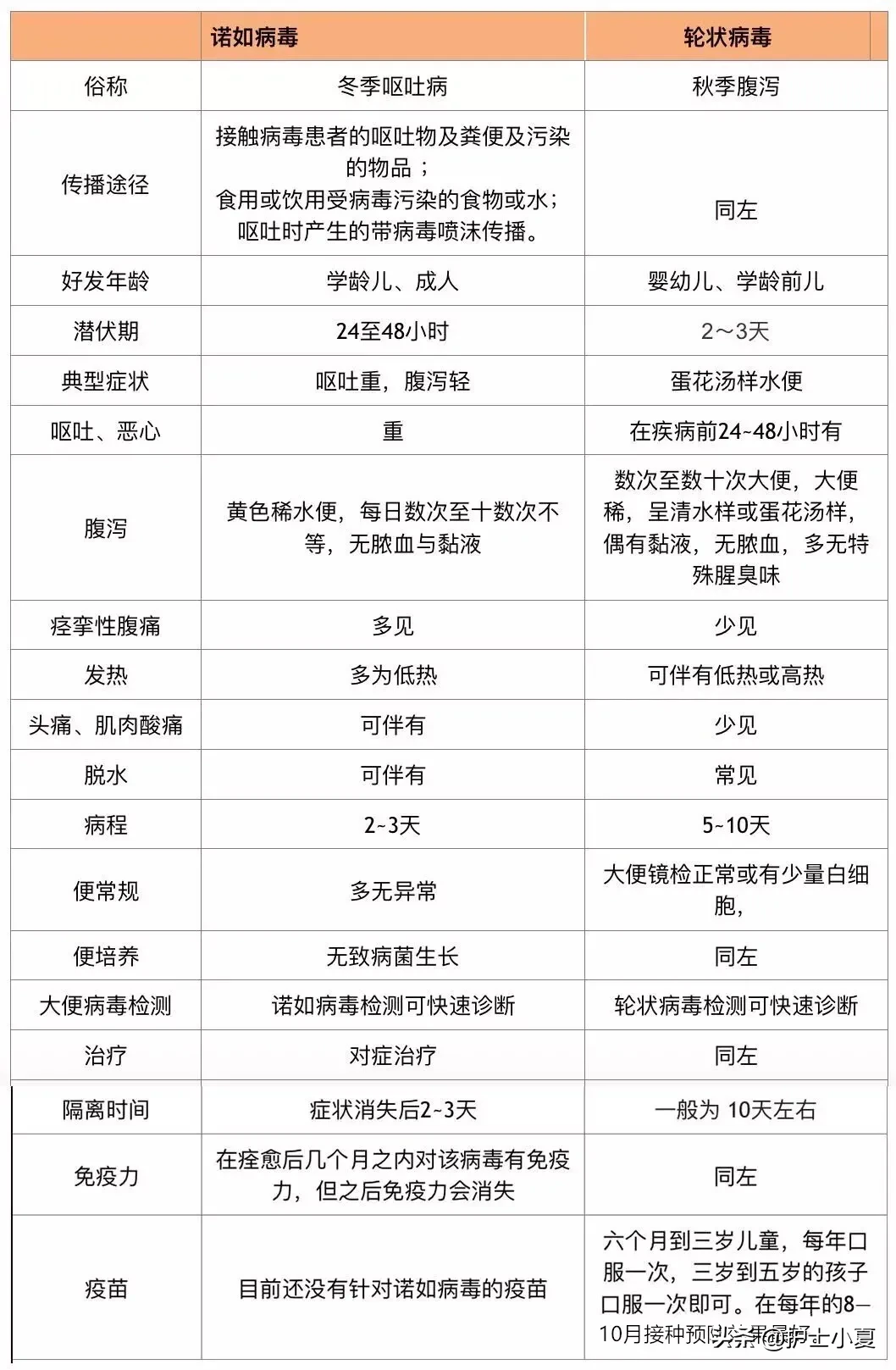 什么是轮状病毒？如何治疗与预防，收藏