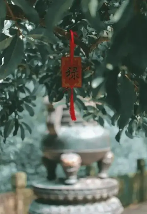 实践出真知！中考作文精品范文《长学问了》