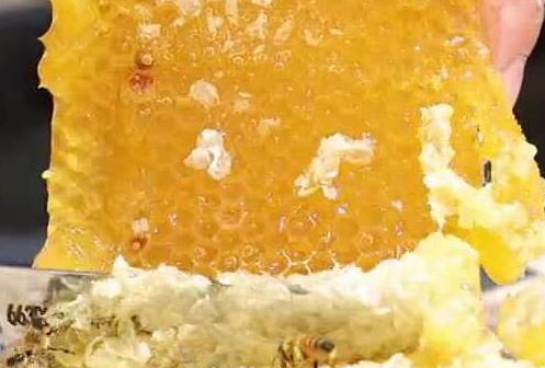 什么蜂蜜最好，胃不好和酒后什么蜂蜜最好？