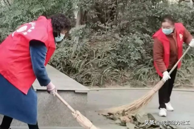 活动回顾丨双柏社区“爱卫运动，有你有我”1月主题党日