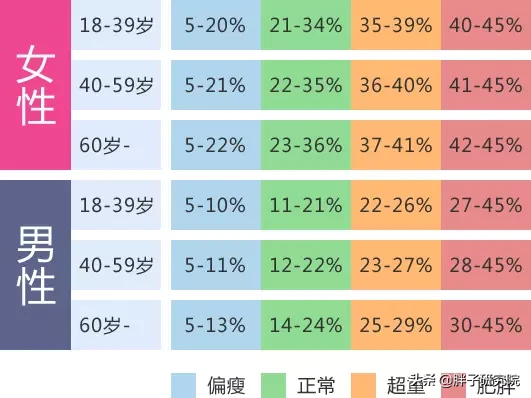 体脂率计算方法及对照表