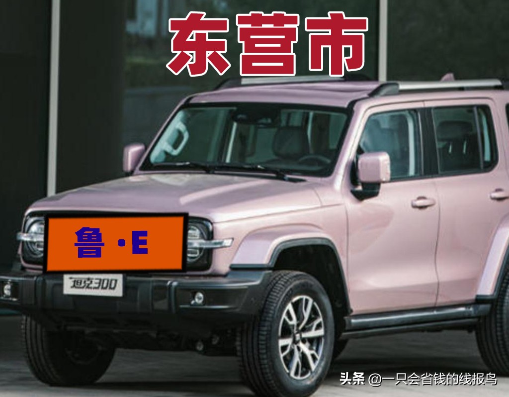 å±±ä¸œçœ�æ±½è½¦ç‰Œç…§æŒ‰ç…§å&shy;—æ¯�æ�’åº�