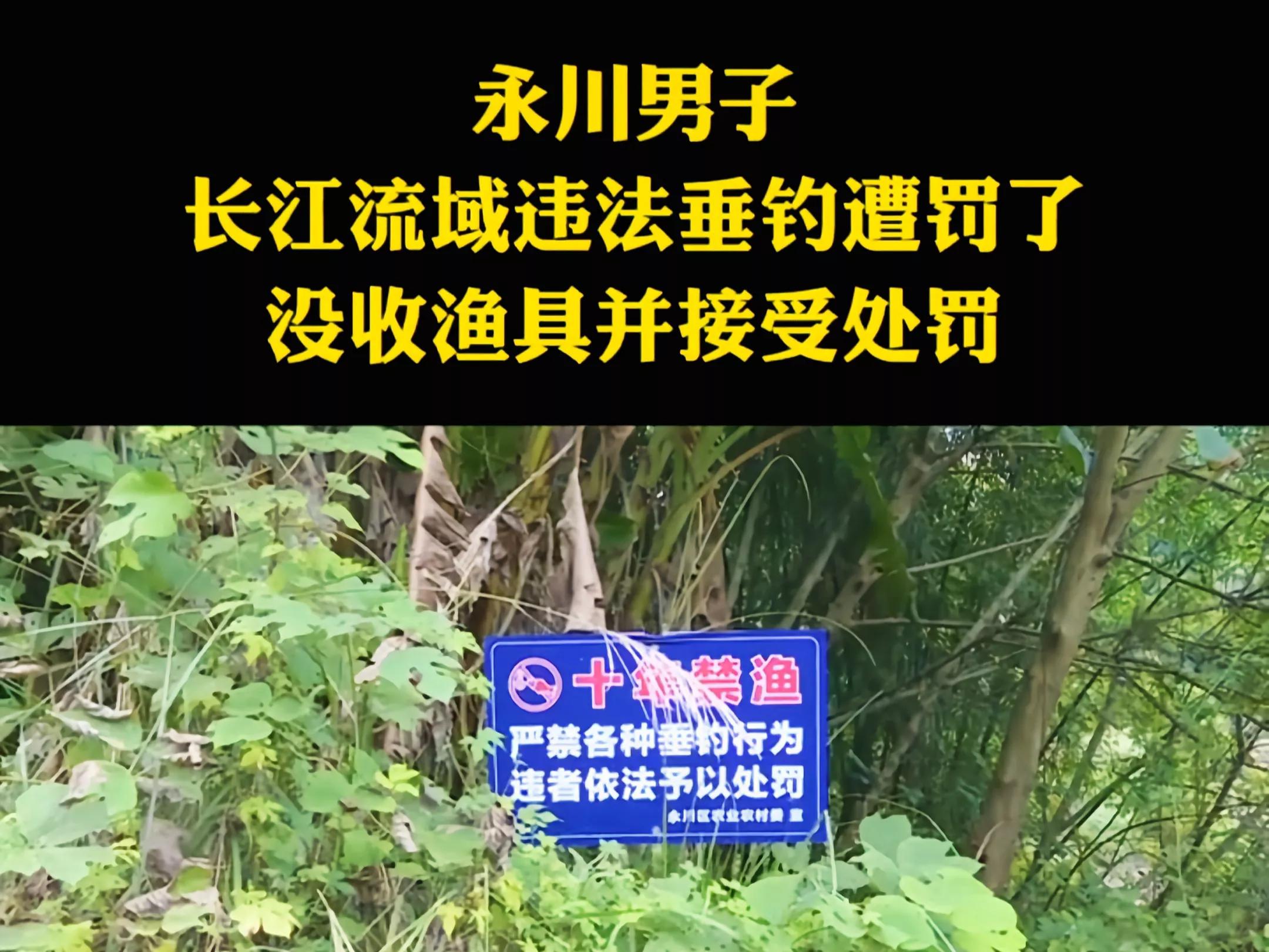 没收渔具并处罚！重庆男子尴尬渔获引争议，禁钓是否该严行？