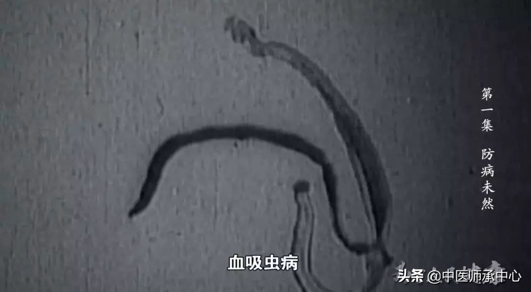 下个70年，中医药能为健康中国做什么？