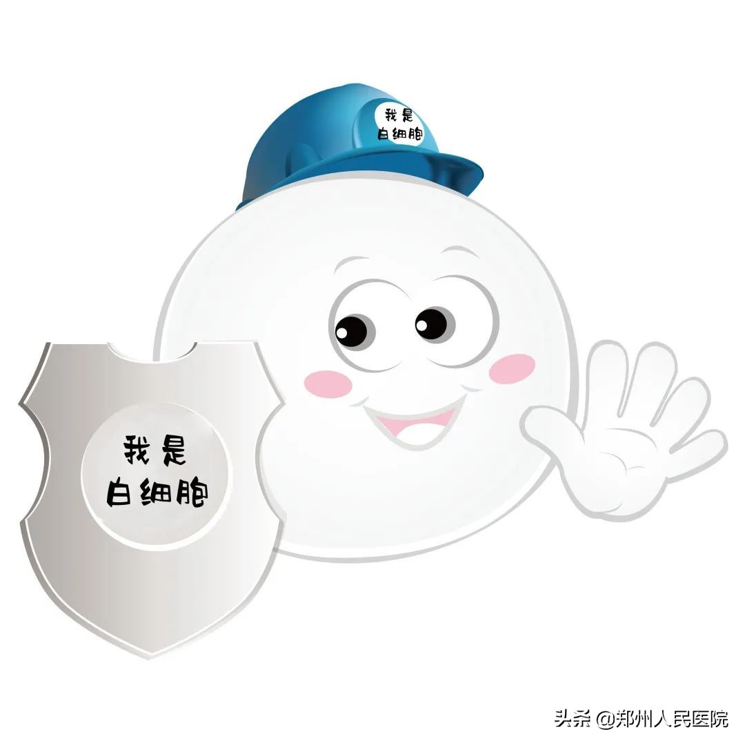 建議收藏！僅需10分鐘，搞懂血常規