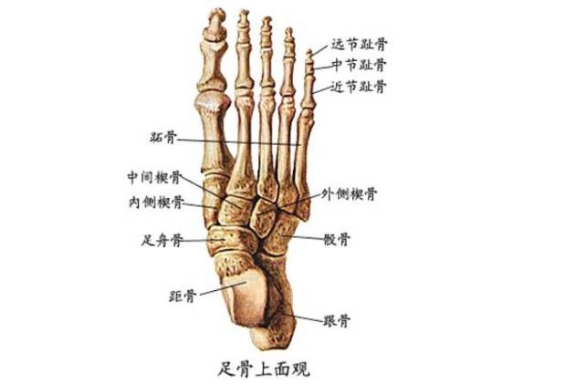 黄种人平均智商比其他人种高？看看我们的专属优势，不比白种人差