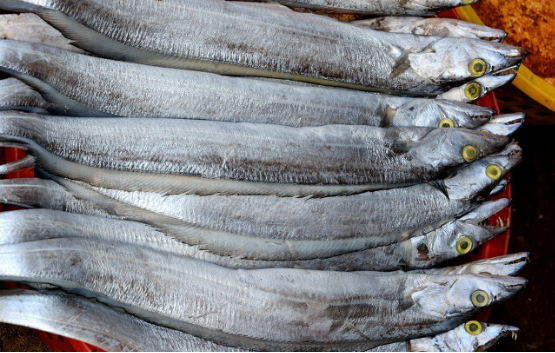 买鱼时，懂行的人专买“这5种海鱼”，无法人工养殖，看完长知识