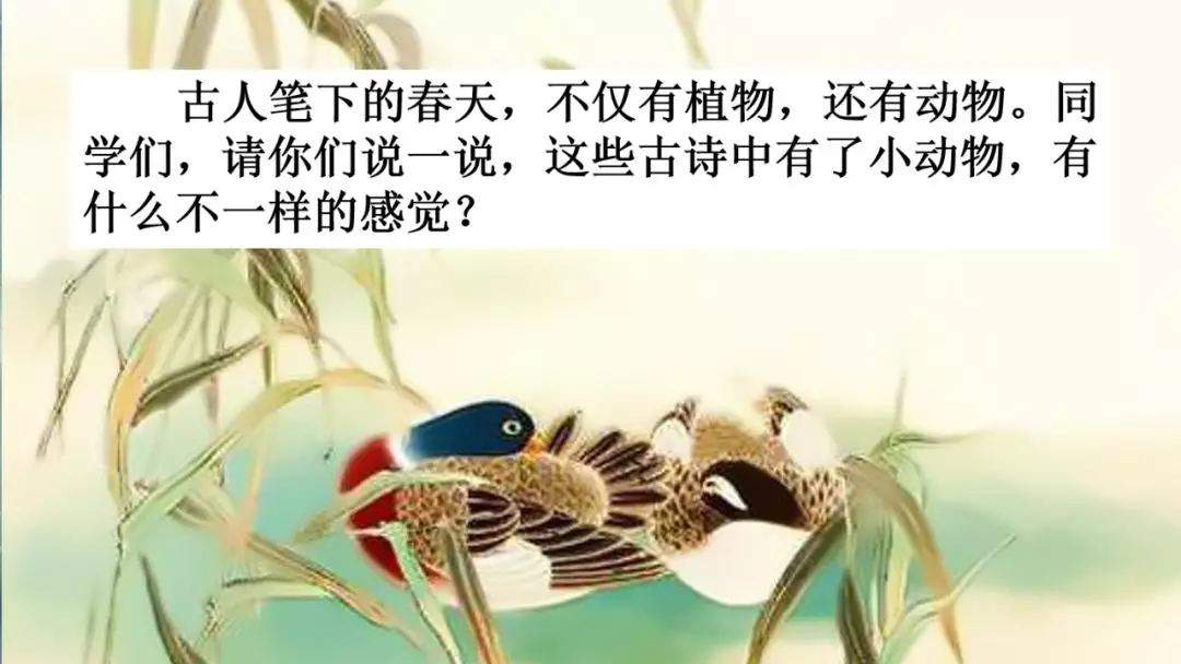 部编版三年级语文下册第二课《燕子》知识点及课堂测试题