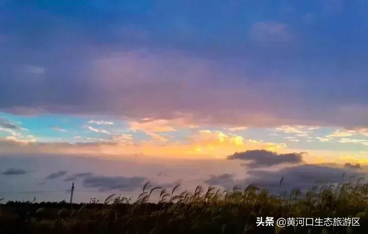 【黄河口生态旅游区】秋思黄河口