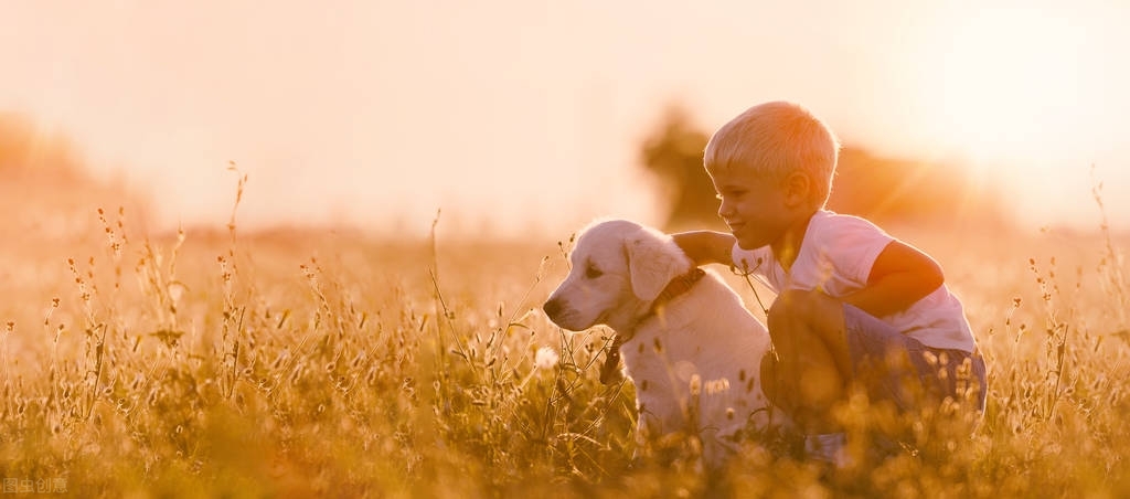 生命奖赏远在旅途终点