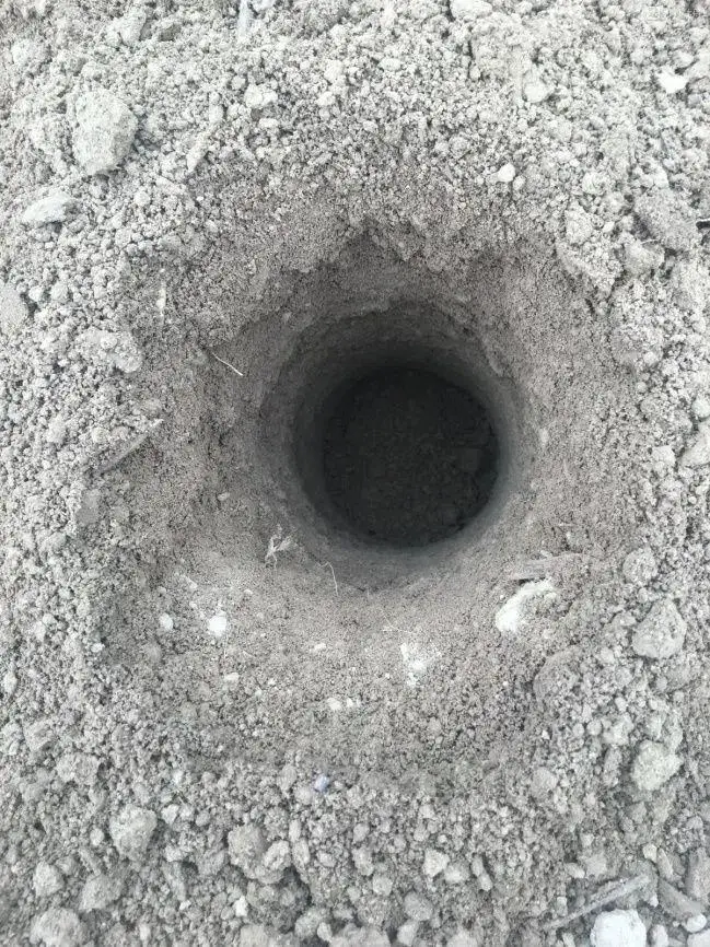 芍药花什么时候开花（芍药种植方法和时间）