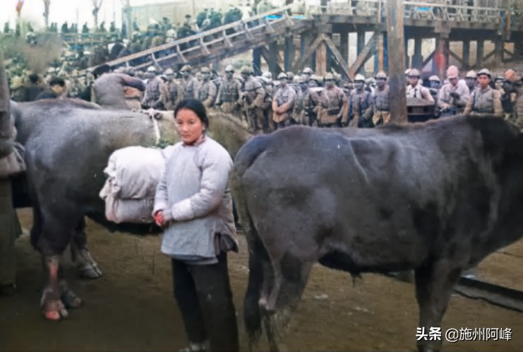 1949���Ͼ����ǰ���񵳾��ϳ�����ʷ����