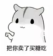 这是公认的最聪明犬种!三分钟看完牧羊犬喂养指南