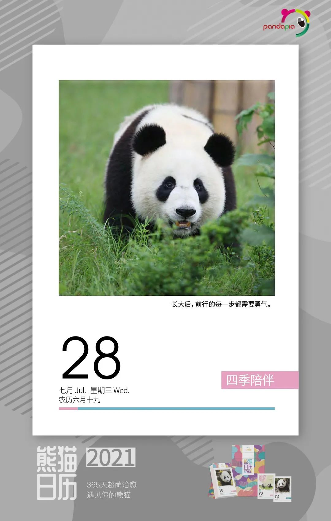 猛男必备礼物（生日礼物 男）