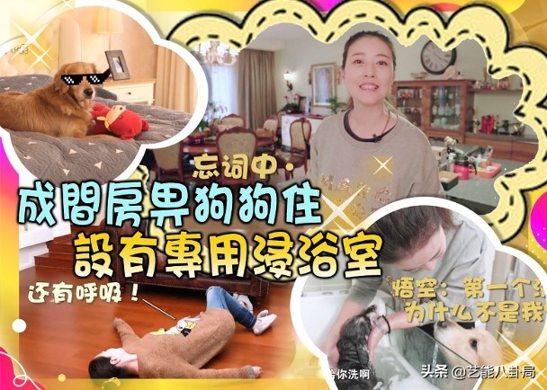 周海媚：巅峰期5个男人同时追，经历10年无效婚姻，55岁却仍单身