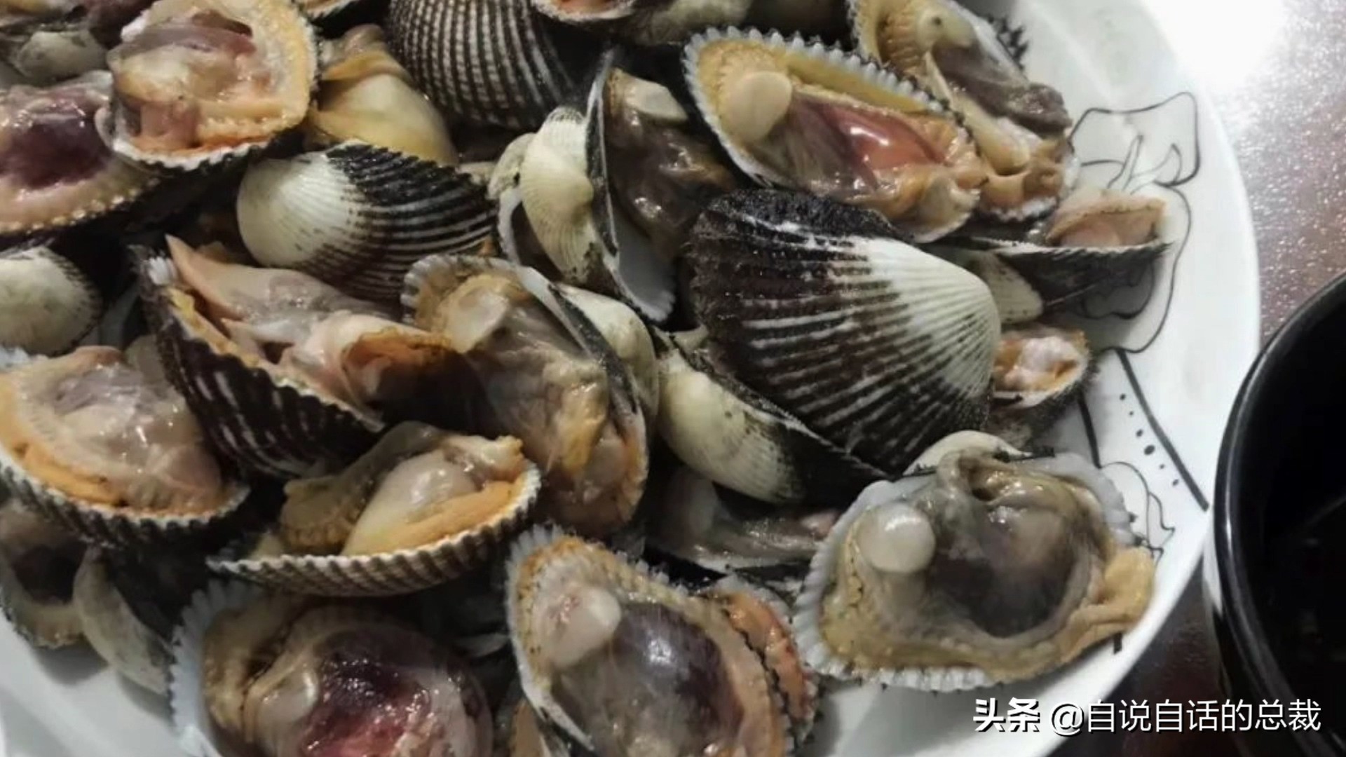 蛤、蚶、蛏、蚝、蚬有什么区别？这是一群美味海怪与人类的故事