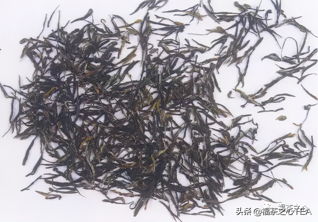 茶百科 | 中國茶葉分類大綱（收藏版）