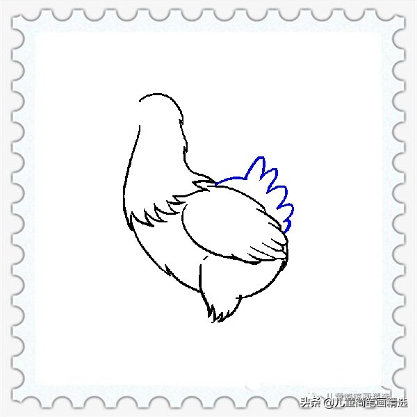 儿童简笔画精选【家禽家畜】-肉鸡（Chicken）的绘画教程