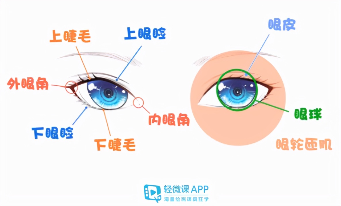 怎麼畫好眼睛?漫畫人物眼睛的畫法 - 其他資源 - cgjoy