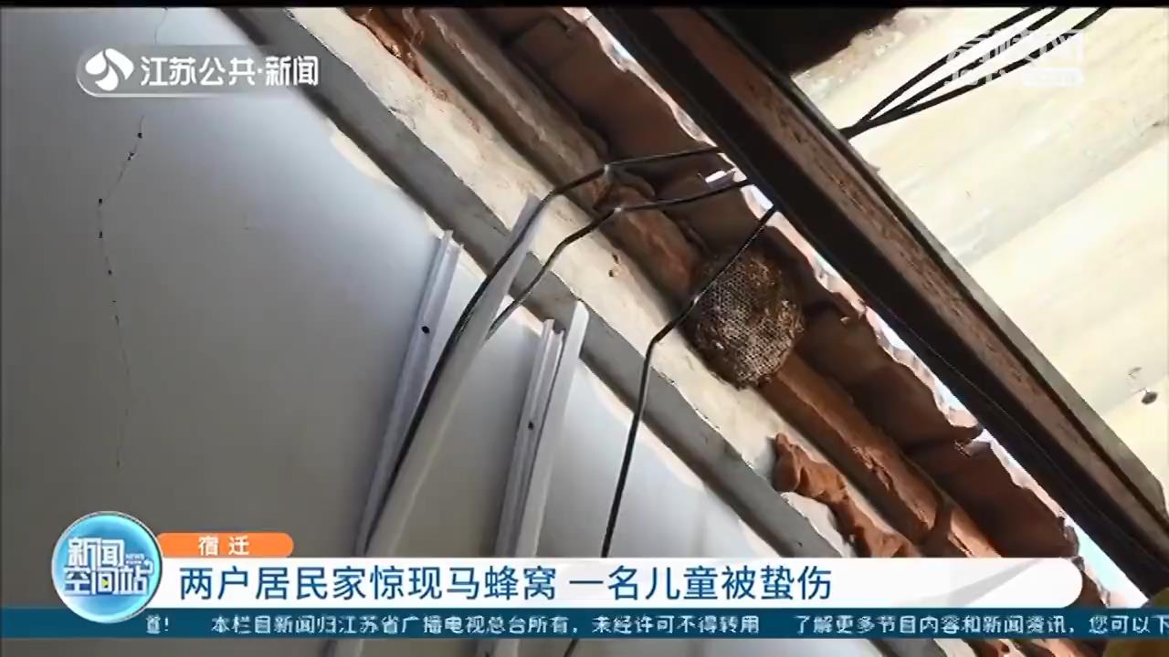 宿迁：多个小区发现马蜂窝 一名儿童被蛰伤