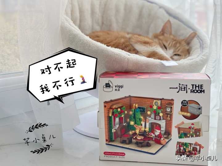 双11礼物（圣诞节高端礼物）