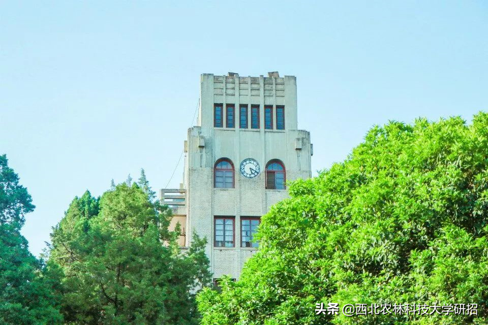 西北农林科技大学硕士研究生调剂信息（含预计调剂专业信息表）