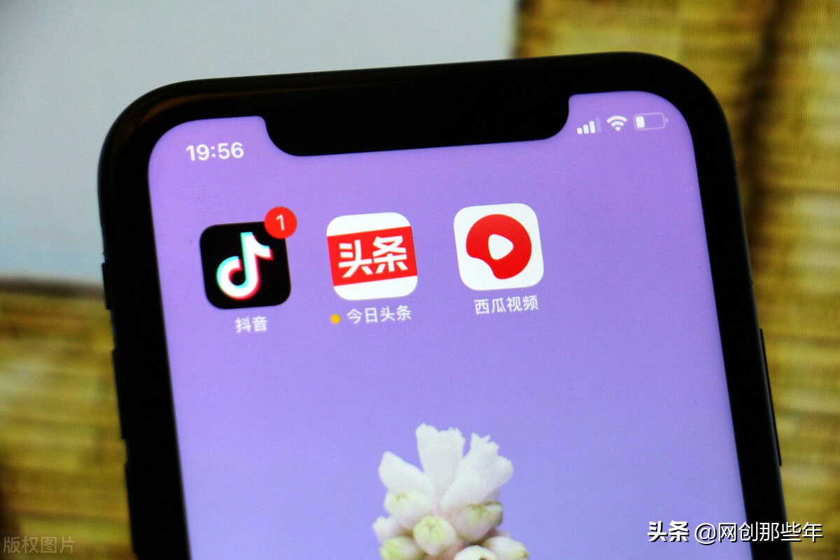 低成本创业路上之律师结合SEO会碰撞出怎么样的火花？