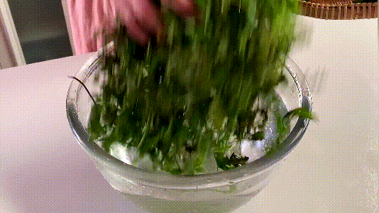 野生天然荠菜，包成水饺比韭菜馅还香，调馅技巧学起来，值得收藏