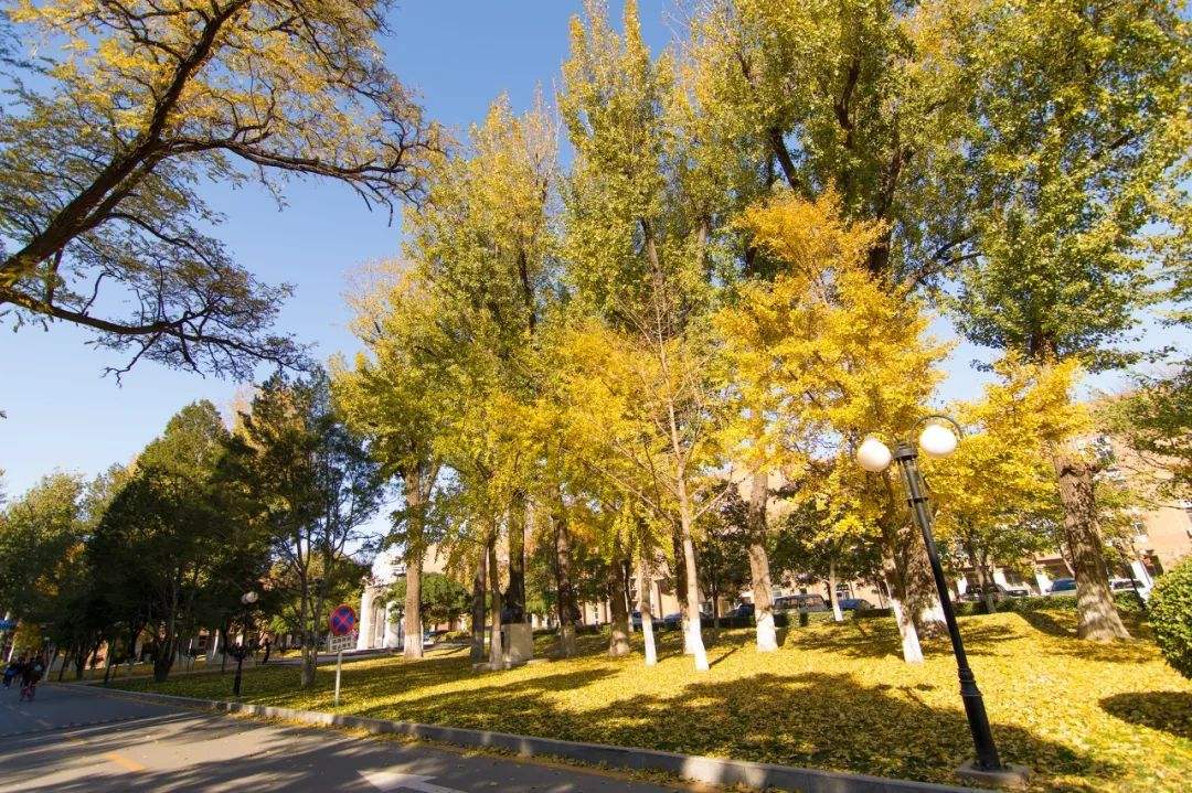 全国43所农林类本科大学，分三档，有哪些就业好的专业？