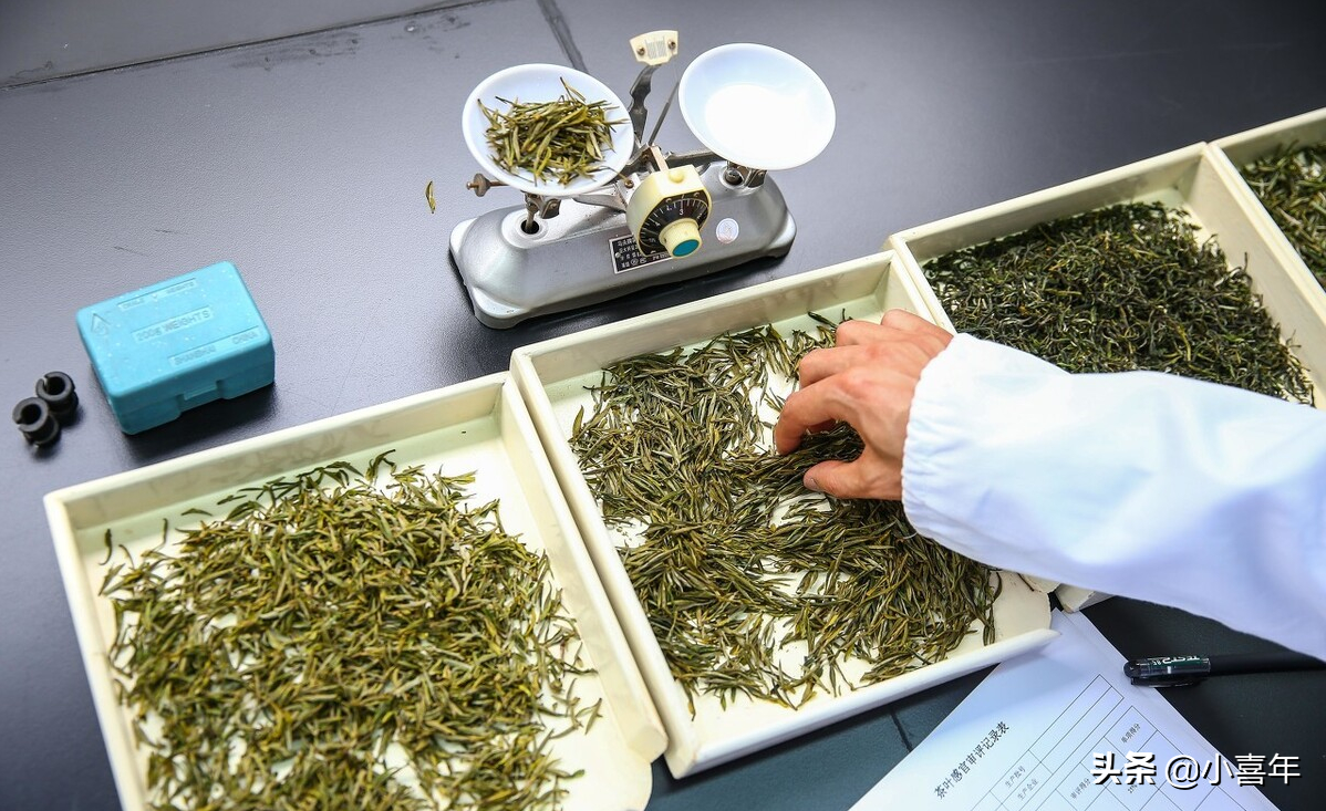春节送亲朋好友什么礼品好（春节送亲人什么礼物）