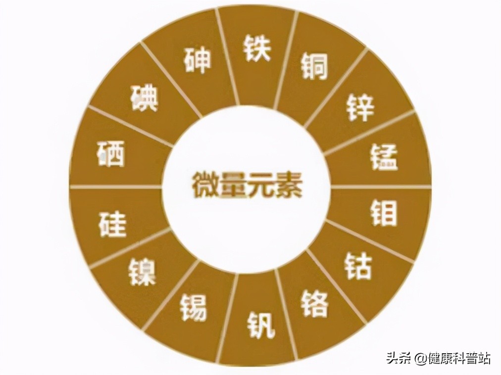 男性的9大营养元素，适当补有益健康