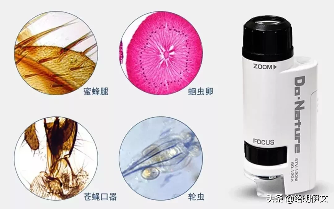 六一节把这两款学习娱乐兼顾的礼物送给孩子，孩子学习优秀又开心