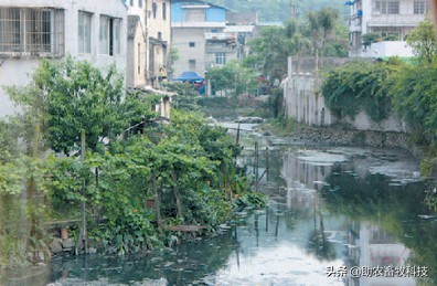 如何让河沟内的黑臭污水快速变清？在低成本不大投入设施的情况下