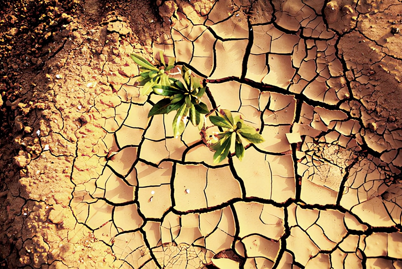 破坏环境的危害及保护的重要性